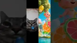#caton 🎑🎇🎑🎇