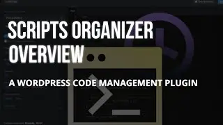 Scripts Organizer Overview: A Code Snippets Management Plugin for WordPress | SyncWin Tools