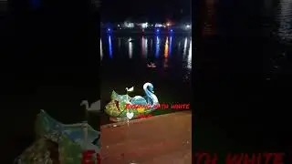 white duck 🤍🤍🤍🤍#pond # mptourism ❤️🤍❤️🤗🙏🙂 @exuberancelearningpoint2661