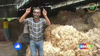Jute|Bangladesh |600-1230gm Sacks|Export quality