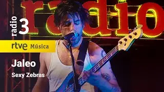 Sexy Zebras - “Jaleo” | Conciertos de Radio 3 (2022)