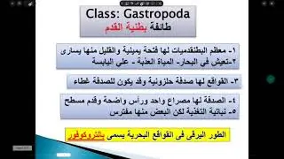 محاضرة علم حيوان(السادسة)