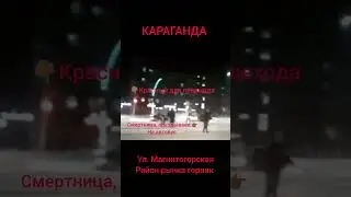 КАМИКАДЗЕ В КАРАГАНДЕ #like #automobile #live #animals #business #life #comedy
