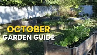 October Gardening Guide 🌿 What to Harvest, Trim & Plant Before Frost