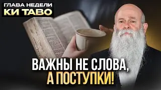 Как обеспечить себе удачный год? Глава недели &laquo;Ки Таво&raquo;. Рав Шмуэль Каминецкий