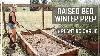 Raised Bed Cleanup + Planting Garlic! Winter Prep of the Raised Garden Beds, Zone 6A