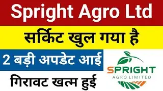 सर्किट पर अपडेट Spright Agro Share Latest News | Spright Agro Share | Spright Agro Latest News