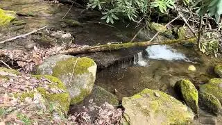 2023-03-23: Slick Falls Branch from Snooks Nose Trail, Pisgah NF, NC