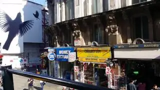 7th June 2015 - The Original Tour (London sightseeing)