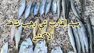 رحلة صيد في ولاية طيوي صيد القارب اكشن ولا اروع