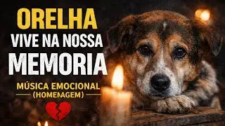 Todo Mundo Est&aacute; Falando do Orelha&hellip; Essa M&uacute;sica &Eacute; Por Ele