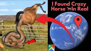 I Found Crazy Horse 🐎 In Reel On Google Earth 4D Maps #googleearth #googlemaps #viralvideo 