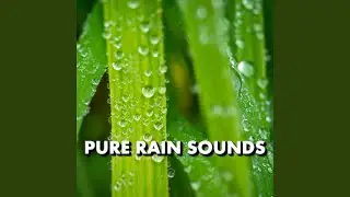 Scenic Twilight Rain Sounds