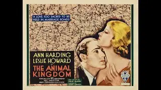 The Animal Kingdom (1932) (Edward H. Griffith) (Ann Harding)