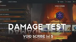 VOID SCRIB LVL 5 DAMAGE TEST || SHADOW FIGHT 3
