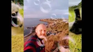 Viagem igual os pasaros livre