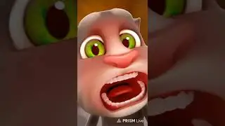 My Talking Tom Cat Live asmr #27 