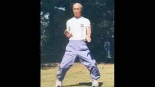 Tatsuo Suzuki Sensei