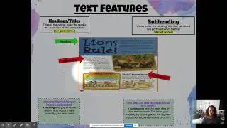 Text Features ML