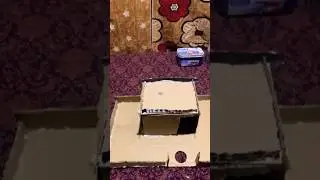 diy mini house with cardboard 😱 #diy #craft #viral #new #house