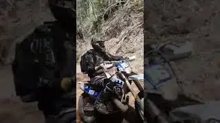 Monkey Gum Firetrail