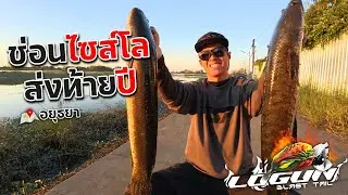 ตามหาช่อนใหญ่ส่งท้ายปี แวะไปเก็บตกหมายเด็ดรอบก่อน