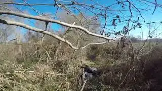 Crow Season Opener 2023