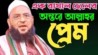 এক রাখাল ছেলের অন্তরে আল্লাহর প্রেম।Nurul Islam Sahib Olipuri আল্লামা নুরুল ইসলাম সাহেব ওলিপুরী