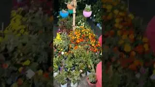 Flower market, Welcome to Harihar Kshetra Sonpur Mela | @Abhishekvlog08|#shorts #ytshorts #trending