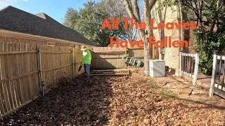 Final Fall Leaf Cleanup | Mulching & Bagging and Ryobi 18V Blower