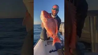 Space coast chicken! #florida #rocket #elonmusk #starlink #fishing #chicken #redsnapper #fyp #viral