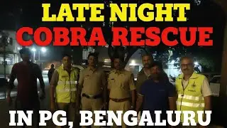 &ldquo;Cobra at PG Main Gate! Police & Civil Defence Join High-Risk Rescue Operation&rdquo; #wildlife 