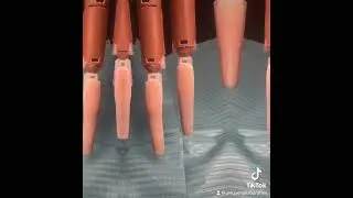 What I seen vs. what I did #inspopics #jacksonmi #fypシ゚ #nailsart #michigannailtech #fypシ゚viral