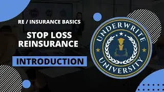 Stop Loss Reinsurance Introductory Course | Learn the Basics of Stop Loss Reinsurance