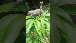 #nature #care #love