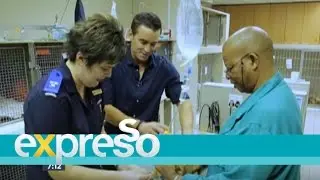 A Day in the Life of a Vet Nurse