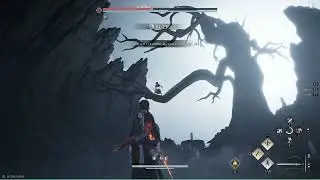 Wolf Maiden No Hit - Abyss Trial 【WhereWindsMeet】