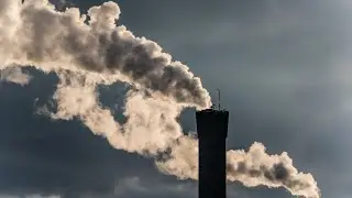 Climate change &lsquo;fear porn&rsquo; is &lsquo;through the roof&rsquo;