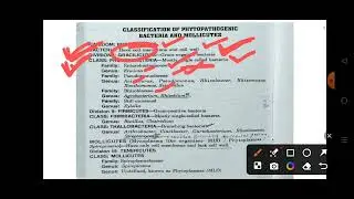 Classification of Bacteria 🦠 | Kingdom to Genus | NET, SRF, JRF | Plant Pathology