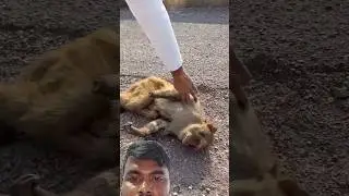 khub kosto paiche 😭 #trending #viral #respect #shortsfeed #animals
