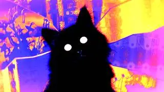 The Watcher