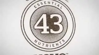 Yevo&rsquo;s Proprietary Raw Amino Power