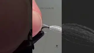 Manhattan Midge | Quick Tie | #flytying #flyfishing #tutorial #explore #learning