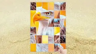 260120 Jigblock Puzzles 2  HP149 EN 1280&times;720