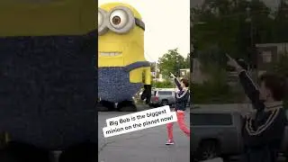 Respect the Minion @MrBeast 🍌
