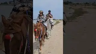Greece Travel Diaries