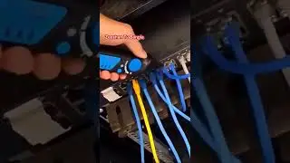 Cat'6 cable #shortvideo #wifi #internetaccess #experiment #wificontroal #internetrouter #wifi5