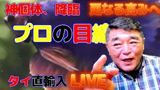 新着ベタ紹介　ベタの何でも相談室　2026年1月17日