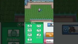 Moemon/Pokemon Sacred Gold Glaceon Solorun 2022 #moemon #sacredgold #glaceon