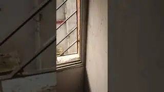 2 BHK Flat rent in Halisahar 6k